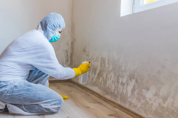 Licensed Commercial Mold Remediation service in Canton, NC - WQB Mold Removal