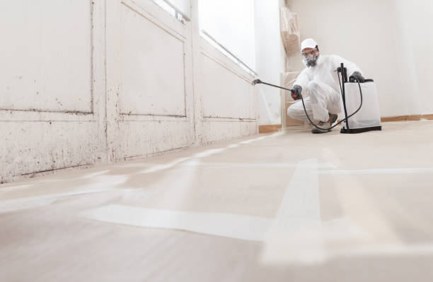 24/7 Emergency Commercial Mold Remediation experts in Canton, NC