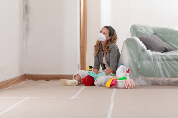 Reliable Commercial Mold Remediation contractor in Canton, NC by WQB Mold Removal